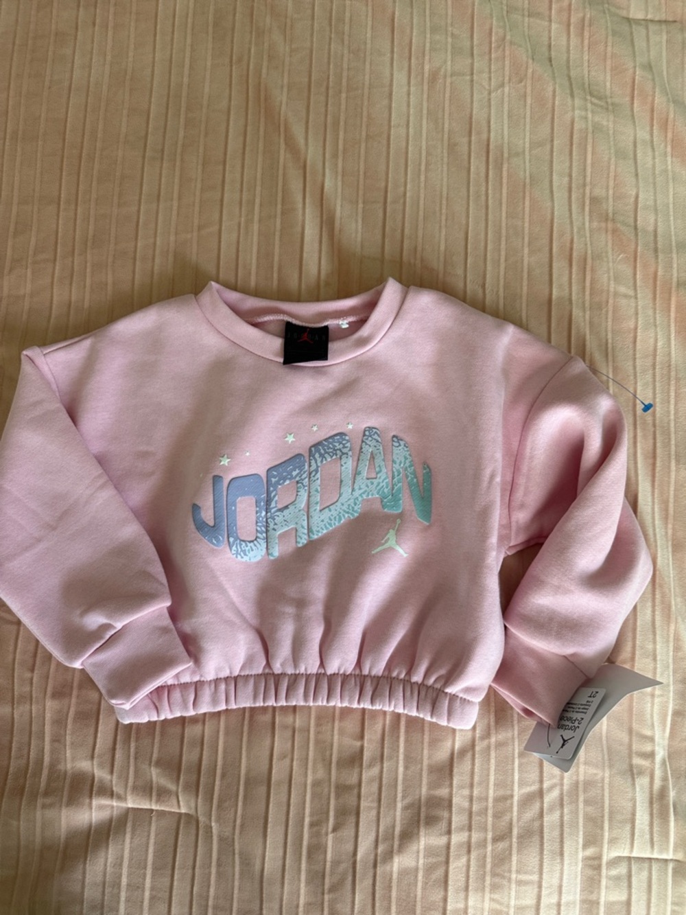 Jordan Jumpman Club Pink Bubble Fleece 2T Toddler Girl Sweatshirt & Joggers Set - Picture 9 of 12